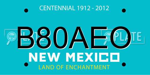 B80AEO New Mexico License Plate