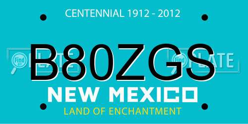 B80ZGS New Mexico License Plate