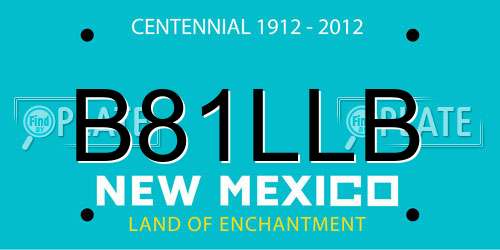 B81LLB New Mexico License Plate