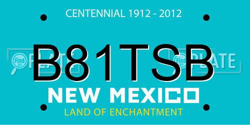 B81TSB New Mexico License Plate