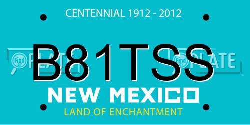 B81TSS New Mexico License Plate