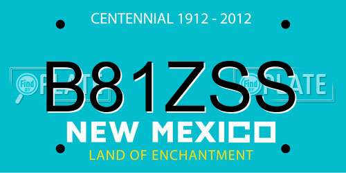 B81ZSS New Mexico License Plate