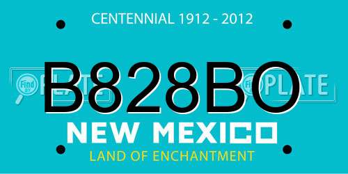 B828BO New Mexico License Plate