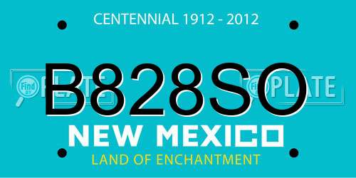 B828SO New Mexico License Plate