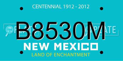 B8530M New Mexico License Plate