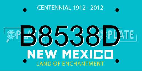 B8538D New Mexico License Plate