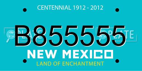 B855555 New Mexico License Plate