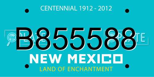 B855588 New Mexico License Plate