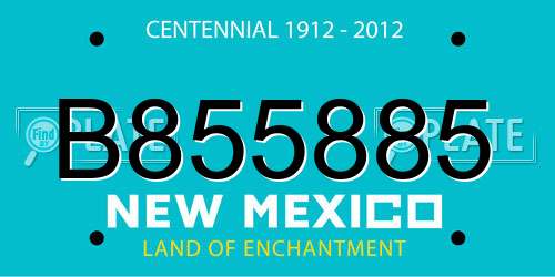 B855885 New Mexico License Plate