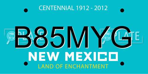B85MYG New Mexico License Plate