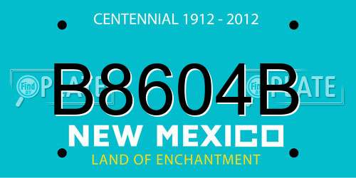B8604B New Mexico License Plate