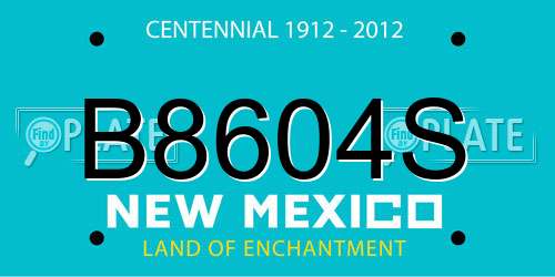 B8604S New Mexico License Plate