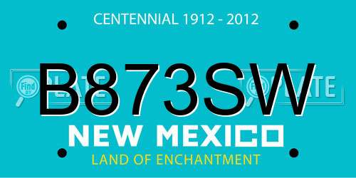 B873SW New Mexico License Plate