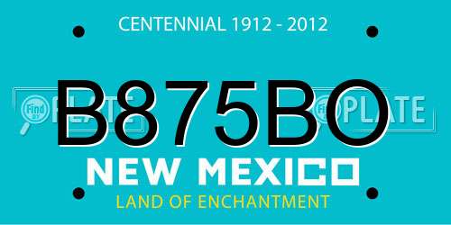 B875BO New Mexico License Plate