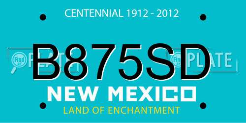 B875SD New Mexico License Plate