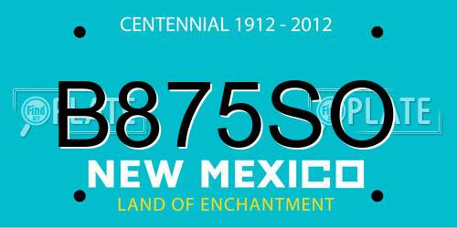 B875SO New Mexico License Plate