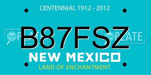 B87FSZ New Mexico License Plate