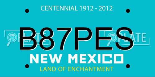 B87PES New Mexico License Plate