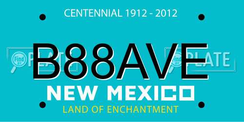 B88AVE New Mexico License Plate