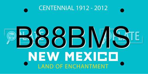 B88BMS New Mexico License Plate