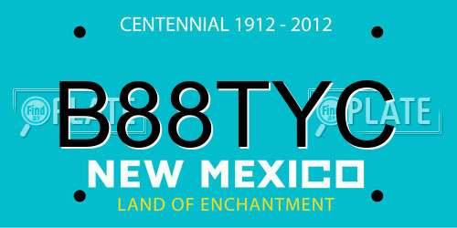 B88TYC New Mexico License Plate