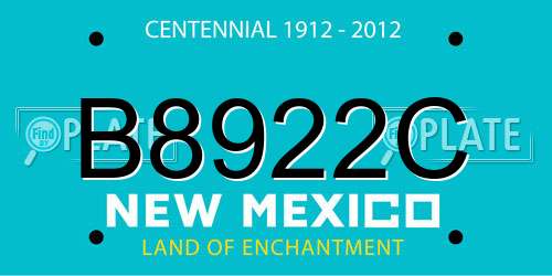 B8922C New Mexico License Plate