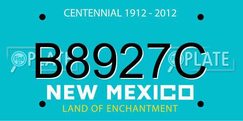 B8927C New Mexico License Plate