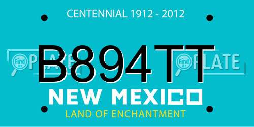 B894TT New Mexico License Plate
