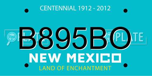 B895BO New Mexico License Plate