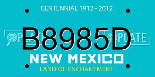 B8985D New Mexico License Plate