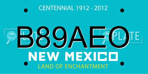 B89AEO New Mexico License Plate