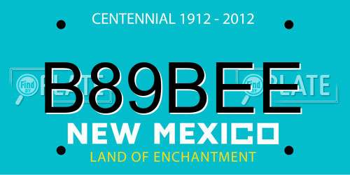 B89BEE New Mexico License Plate