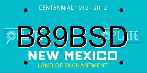 B89BSD New Mexico License Plate