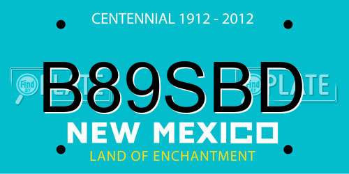 B89SBD New Mexico License Plate