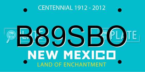 B89SBO New Mexico License Plate