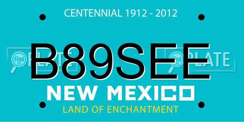 B89SEE New Mexico License Plate