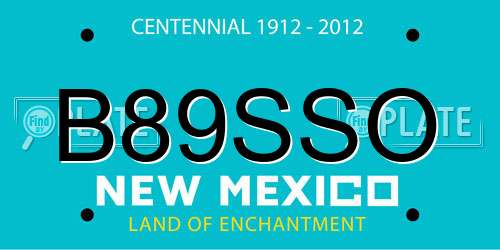 B89SSO New Mexico License Plate