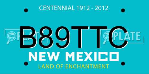 B89TTC New Mexico License Plate