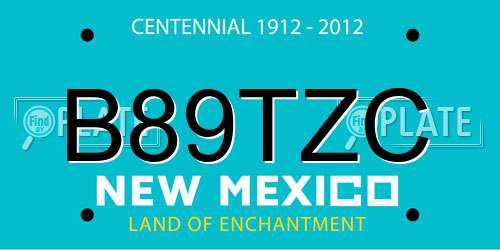 B89TZC New Mexico License Plate