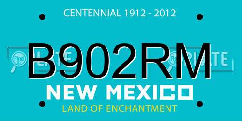 B902RM New Mexico License Plate
