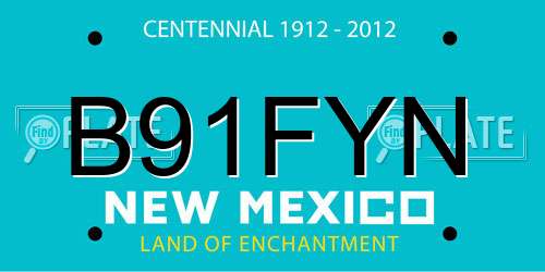 B91FYN New Mexico License Plate