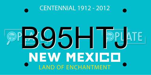 B95HTJ New Mexico License Plate