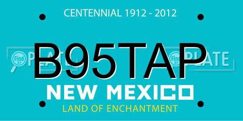 B95TAP New Mexico License Plate