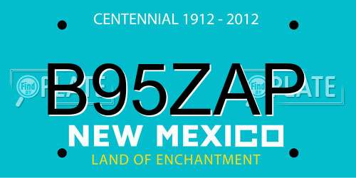 B95ZAP New Mexico License Plate