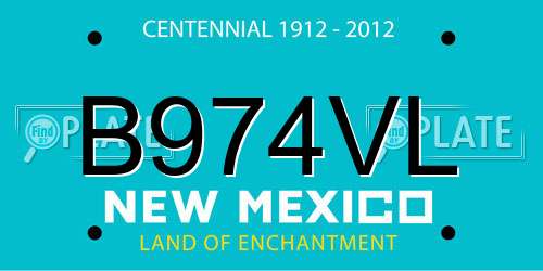 B974VL New Mexico License Plate