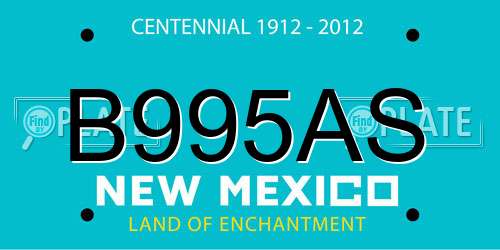 B995AS New Mexico License Plate