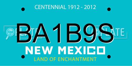 BA1B9S New Mexico License Plate