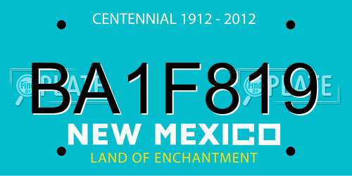 BA1F819 New Mexico License Plate