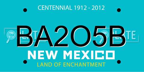 BA2O5B New Mexico License Plate