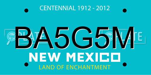 BA5G5M New Mexico License Plate